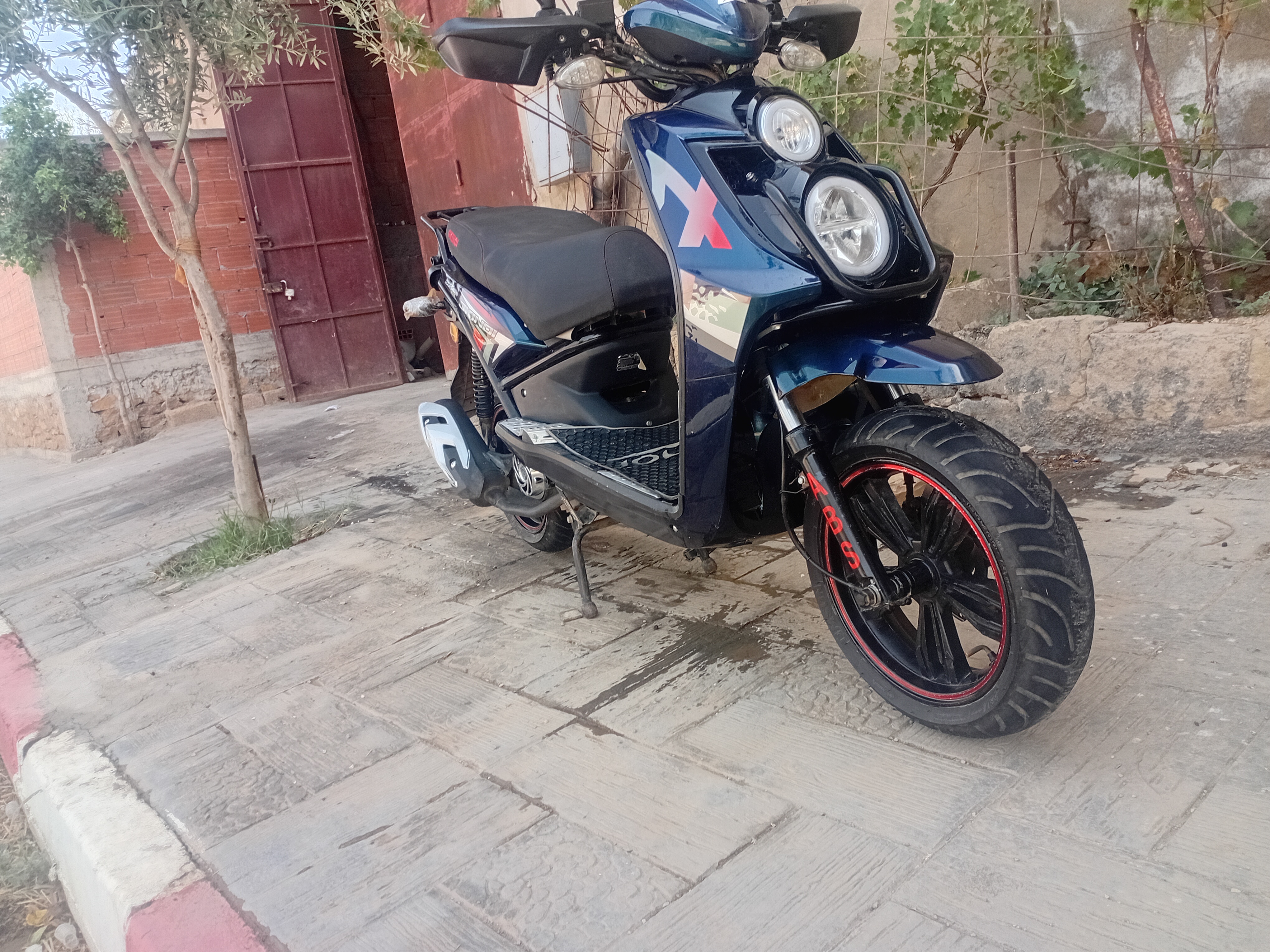 BWS 2025 - صورة إضافية